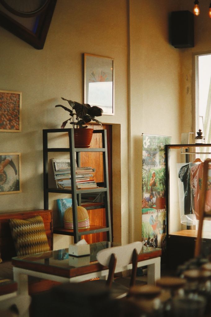 Sunlit café corner with shelves, plants and a clothes rail