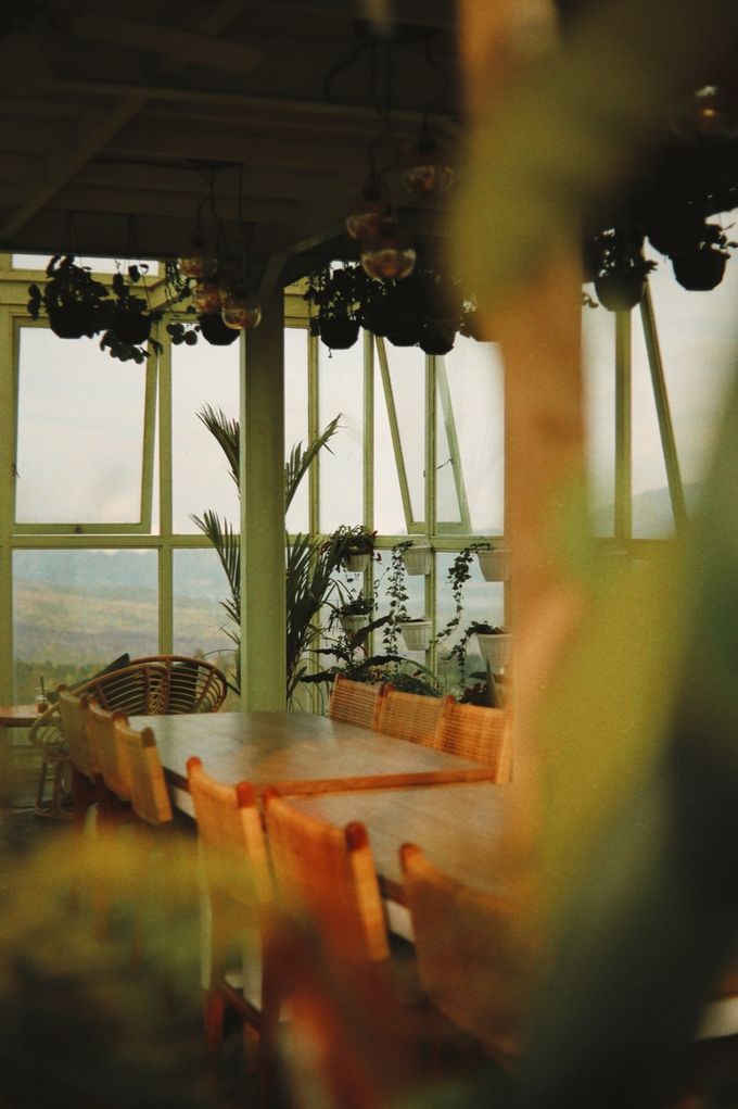 Glass-house dining room with hanging plants