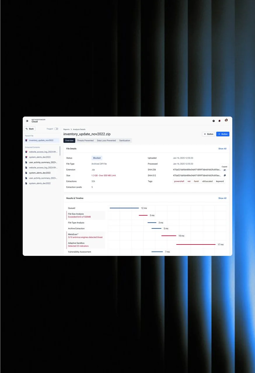 File analysis report